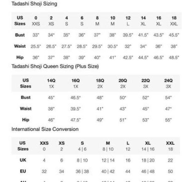 Tadashi Shoji Gown - Size 4 - Black Tie or Grad Dress - Picture 5 of 7